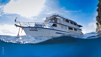 MV. DARANEE