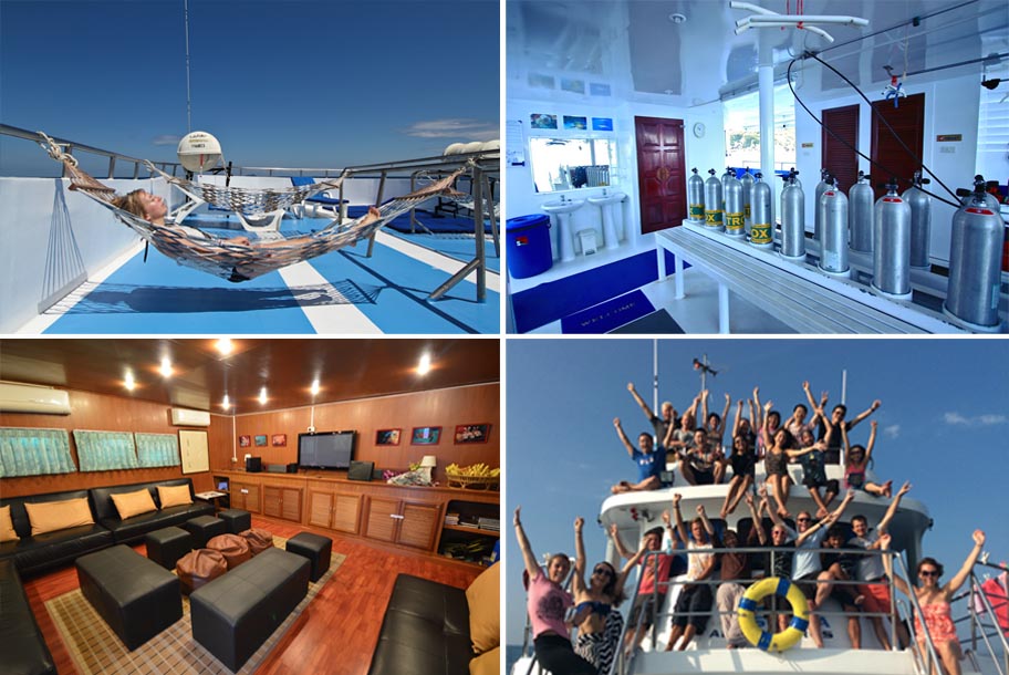 Croisière de 4 jours et 4 nuits pour les îles Similan, Koh Bon, Koh Tachai, Richelieu Rock et l’épave du Boon Sung sur le bateau Manta queen 1 en Croisière plongée Thaïlande