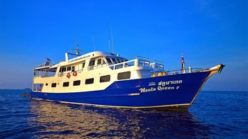 MANTA QUEEN 7